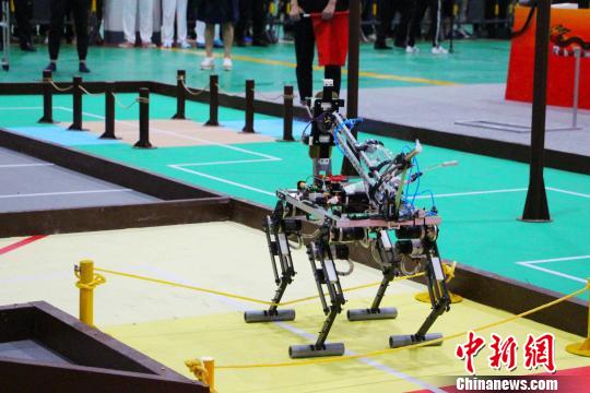 图为四足机器人借助机械产生的动能在比赛中完成相关任务。　赵晓 摄