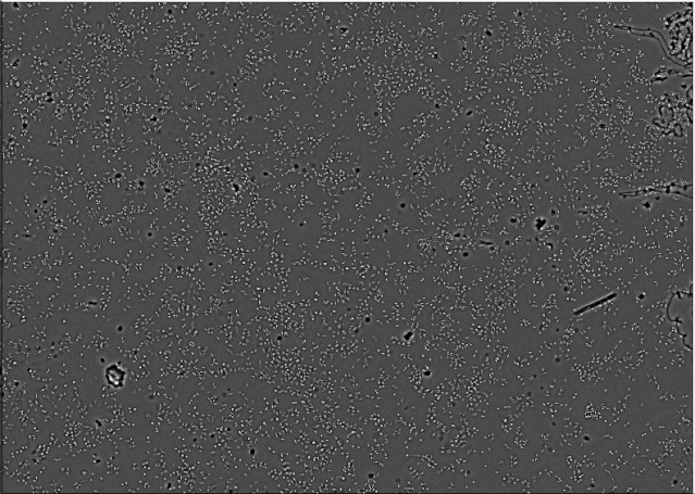 1573466699435951.gif 640.gif