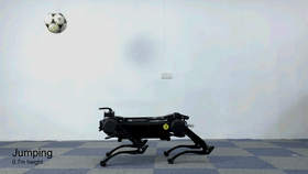 1573628864250796.gif 103.gif