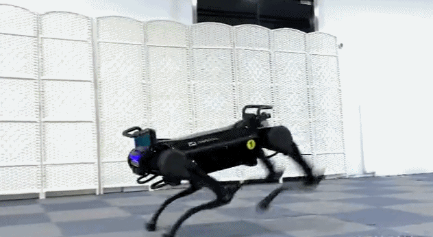 1573628802644780.gif 100.gif