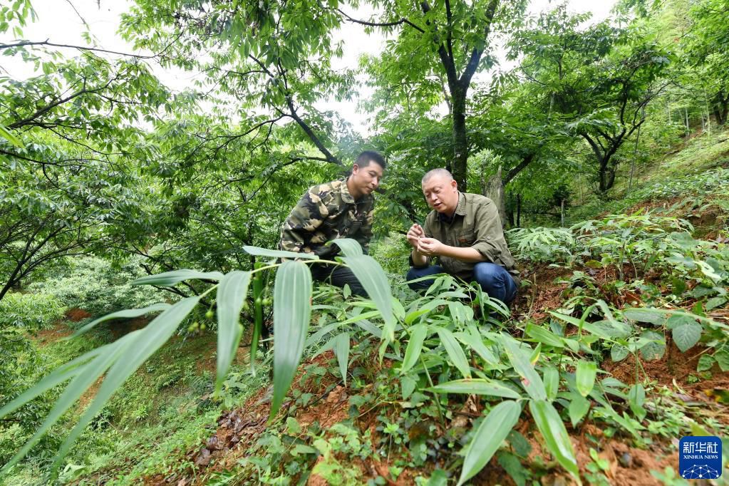 点击进入下一页