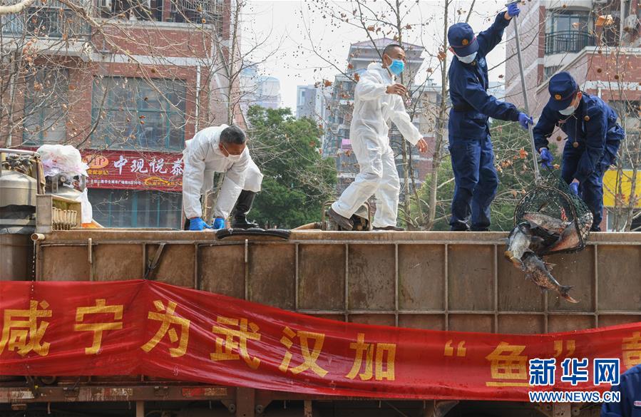 (新华全媒头条·图文互动)(11)风雨无阻向前进——写在全国疫情防控阻击战取得重大战略成果之际 (新华全媒头条·图文互动)(11)风雨无阻向前进——写在全国疫情防控阻击战取得重大战略成果之际